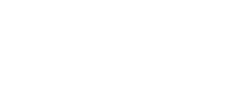 Message from the  Director